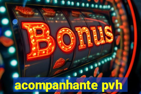 acompanhante pvh