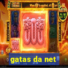 gatas da net