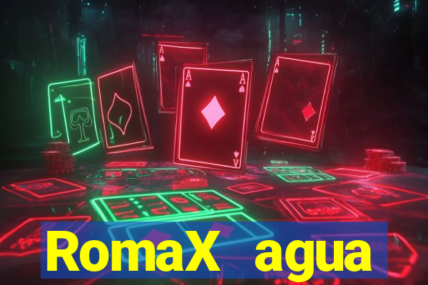 RomaX agua sanitaria fispq agua sanitaria romax