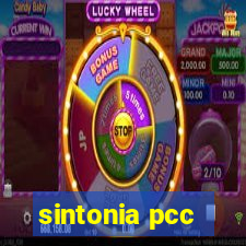 sintonia pcc