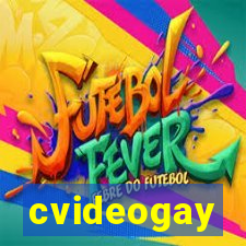 cvideogay