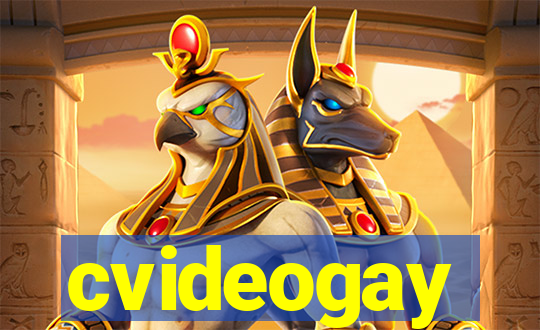 cvideogay