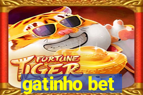 gatinho bet