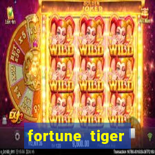 fortune tiger source code