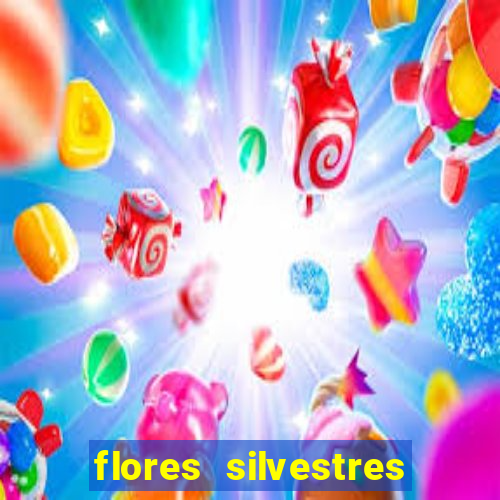 flores silvestres desbravadores desbravadores 25 flores silvestres e seus nomes