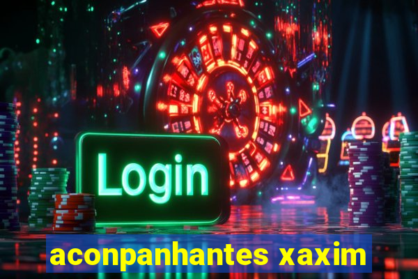 aconpanhantes xaxim