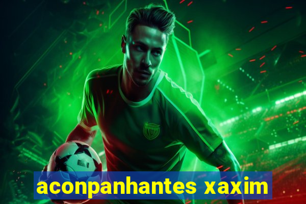 aconpanhantes xaxim