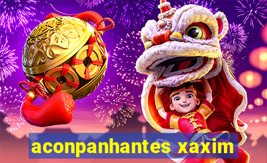 aconpanhantes xaxim