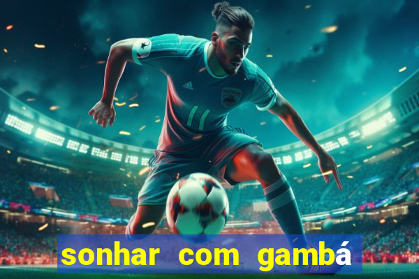 sonhar com gambá jogo do bicho