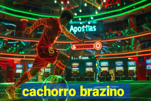 cachorro brazino