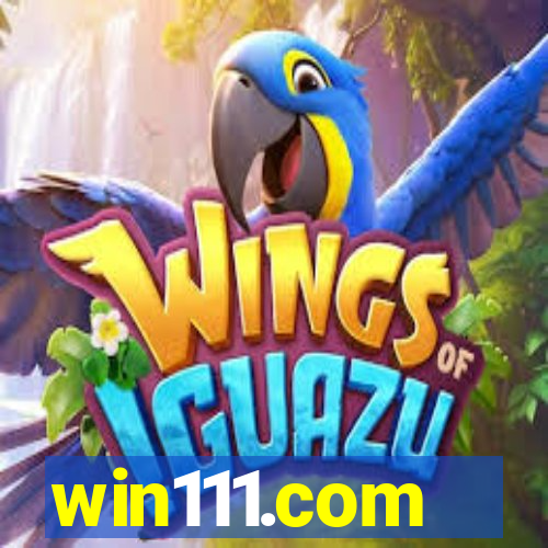 win111.com