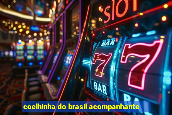 coelhinha do brasil acompanhante