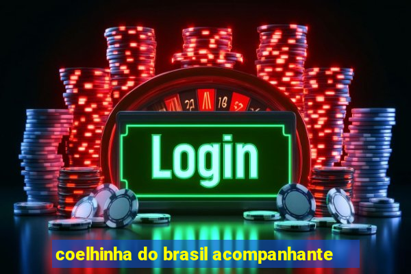 coelhinha do brasil acompanhante