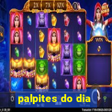 palpites do dia