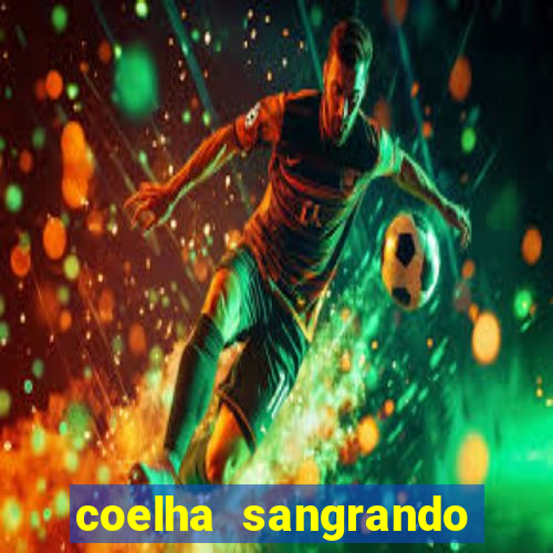 coelha sangrando pela parte intima