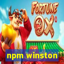 npm winston