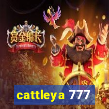 cattleya 777