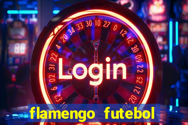 flamengo futebol play hd