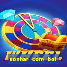 sonhar com boi jogo do bicho