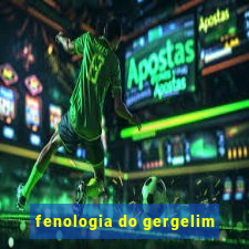 fenologia do gergelim