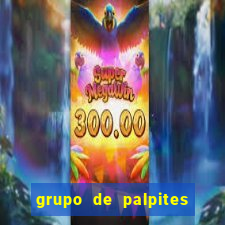 grupo de palpites de futebol telegram