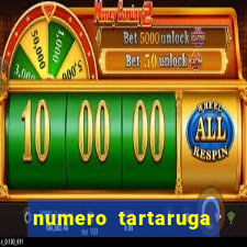 numero tartaruga jogo do bicho