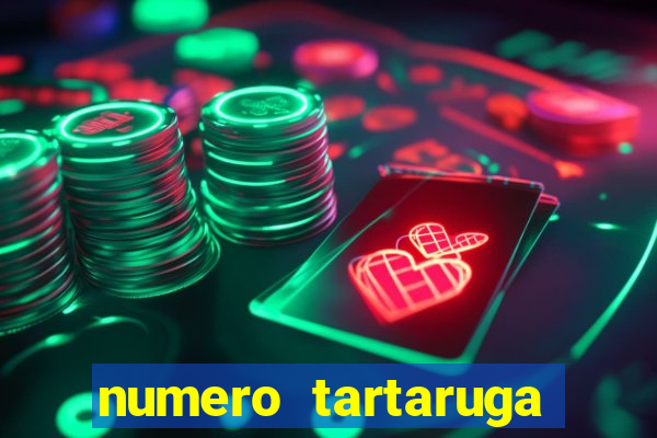 numero tartaruga jogo do bicho