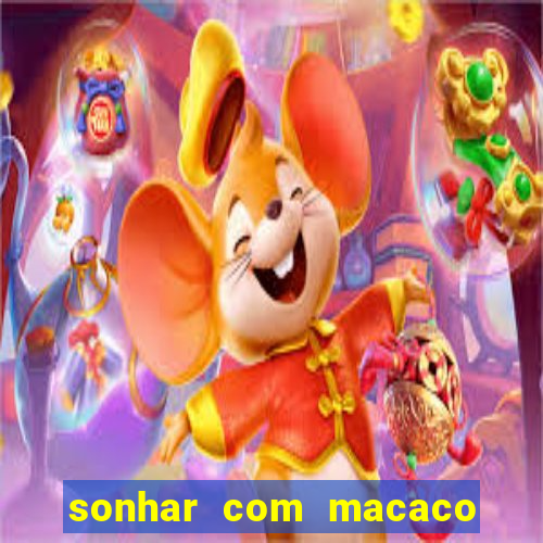 sonhar com macaco o que significa