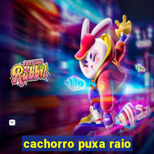 cachorro puxa raio