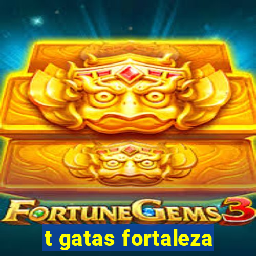 t gatas fortaleza