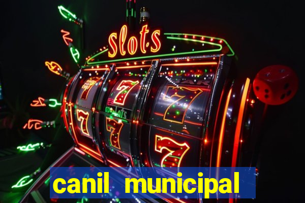 canil municipal porto alegre