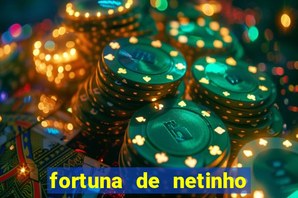 fortuna de netinho de paula