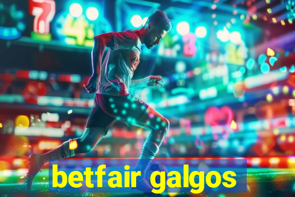 betfair galgos