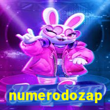 numerodozap