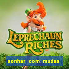 sonhar com mudas de plantas