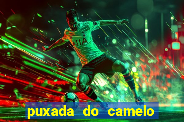 puxada do camelo jogo do bicho