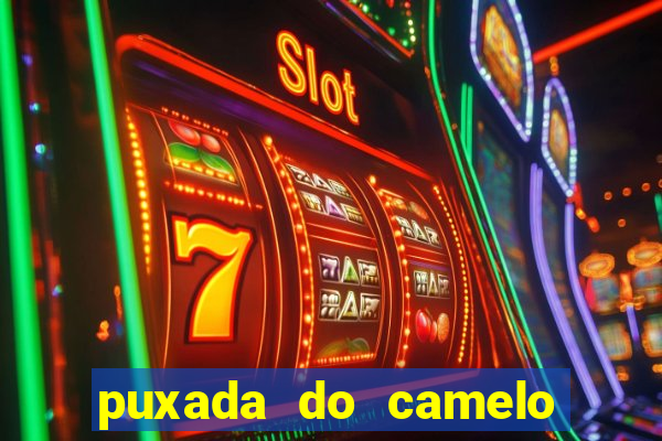 puxada do camelo jogo do bicho