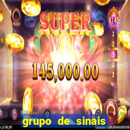 grupo de sinais trader telegram