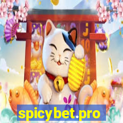 spicybet.pro