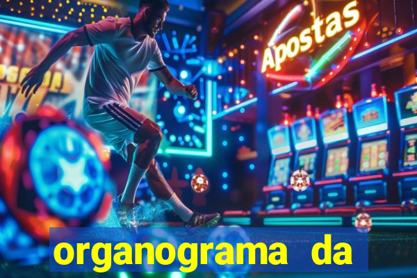 organograma da cacau show