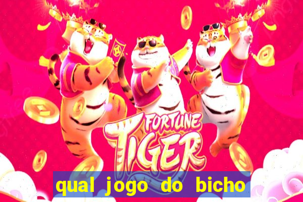 qual jogo do bicho paga mais