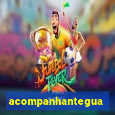 acompanhanteguanambi