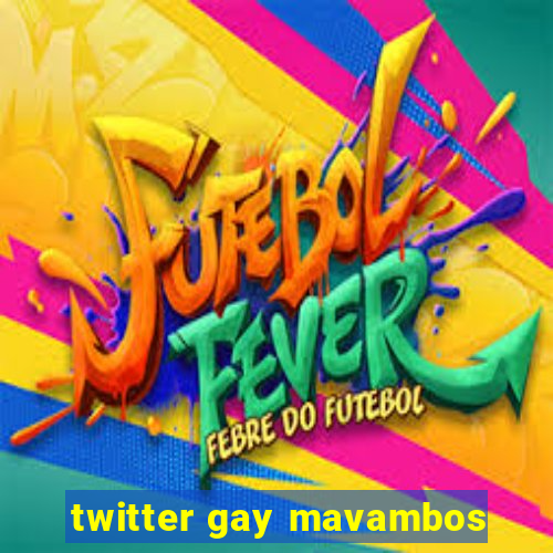 twitter gay mavambos