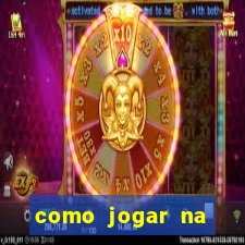 como jogar na seninha online