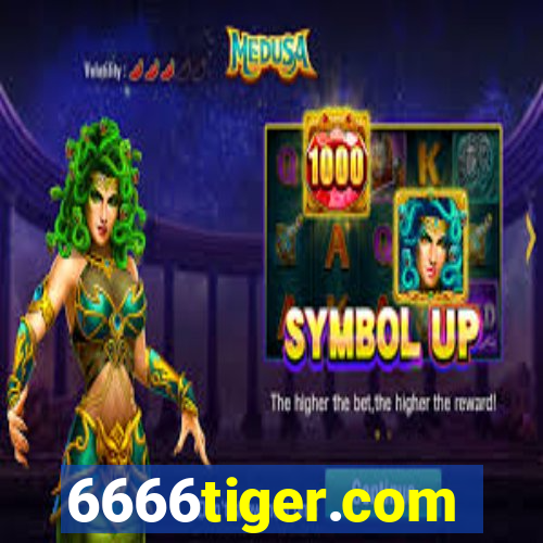 6666tiger.com