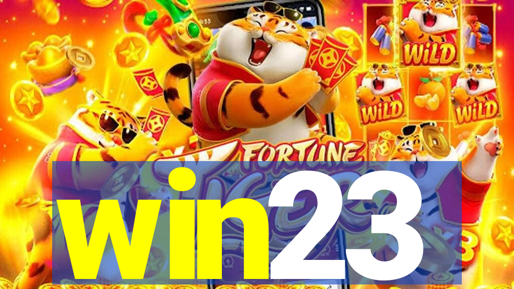 win23