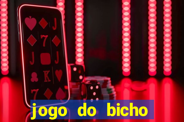 jogo do bicho tipos de apostas