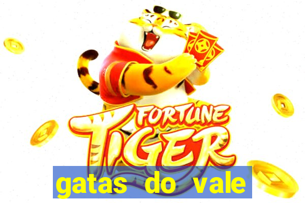 gatas do vale juazeiro ba