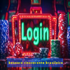 besouro rinoceronte brasileiro