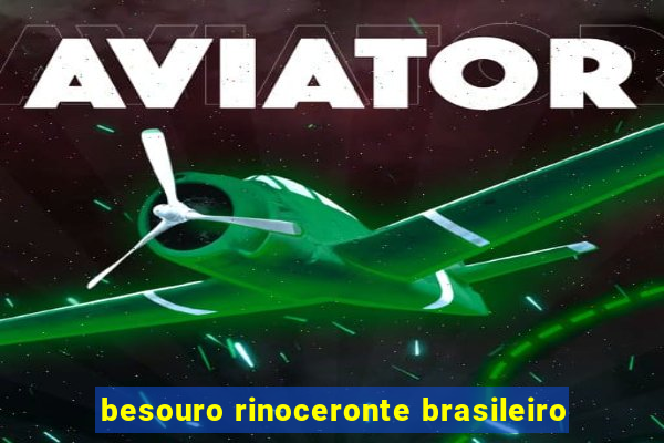 besouro rinoceronte brasileiro